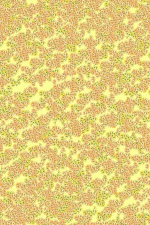 女装印花华亿平台图片