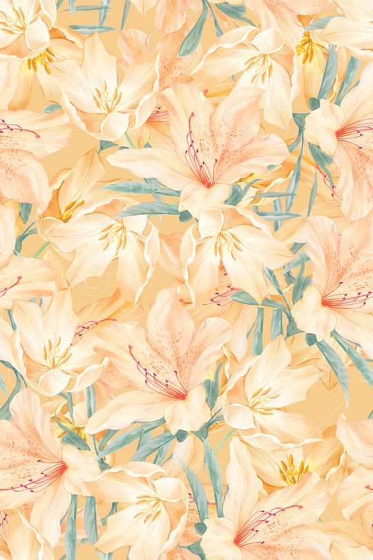 春夏华亿平台印花华亿平台图片