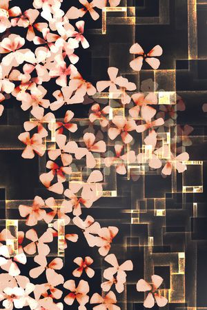 黑底花卉印花华亿平台图片