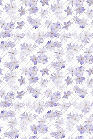 水彩印花华亿平台图片