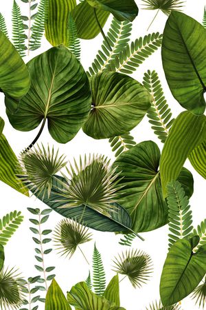 女装印花华亿平台图片