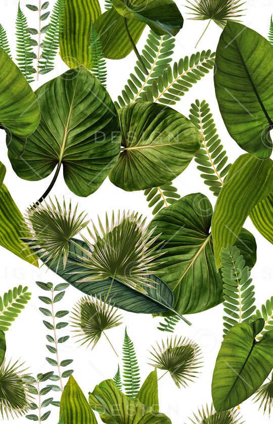 女装印花华亿平台图片