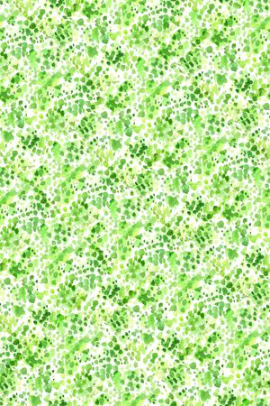 女装印花华亿平台图片