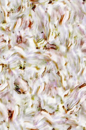 真丝印花华亿平台图片