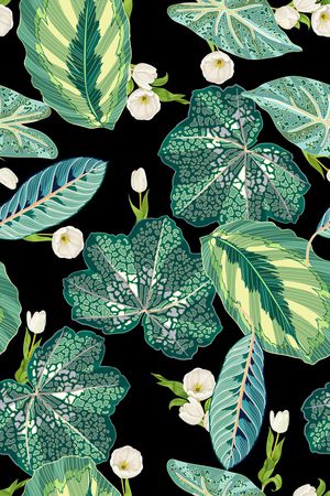 真丝印花华亿平台图片