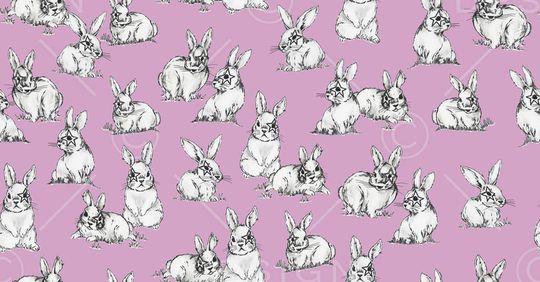 女装印花华亿平台图片