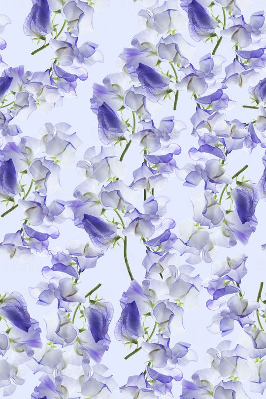 女装印花华亿平台图片