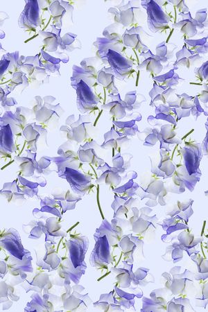 女装印花华亿平台图片