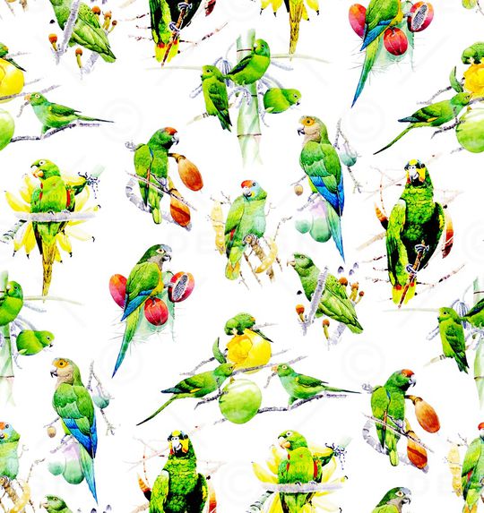 鹦鹉印花华亿平台图片