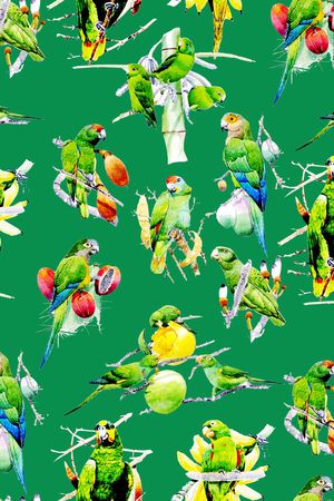 鹦鹉印花华亿平台图片