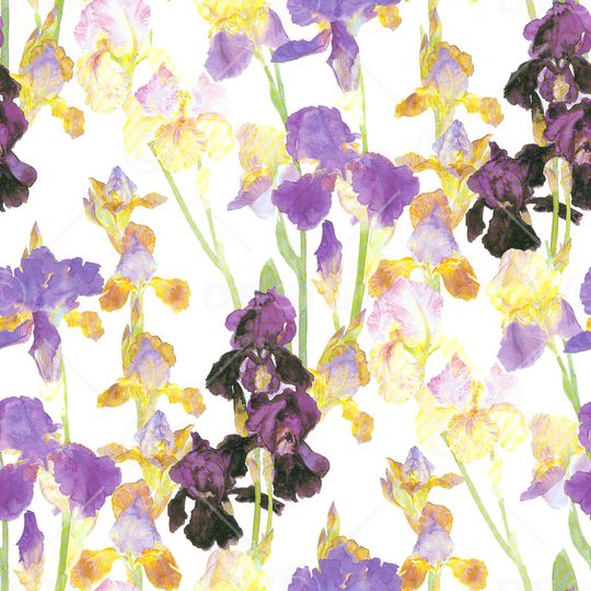 鸢尾花印花华亿平台图片