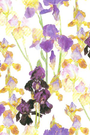 鸢尾花印花华亿平台图片