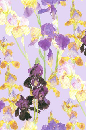 鸢尾花印花华亿平台图片