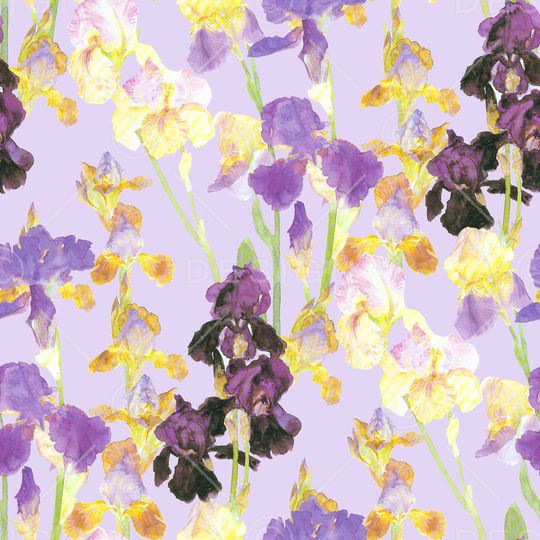 鸢尾花印花华亿平台图片