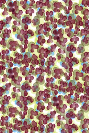 简约印花华亿平台图片