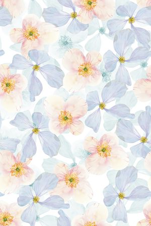 真丝印花华亿平台图片