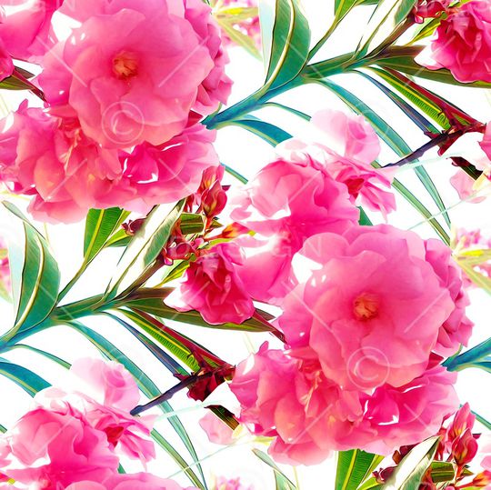 手绘大花印花华亿平台图片