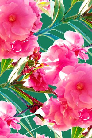 郁金香印花华亿平台图片