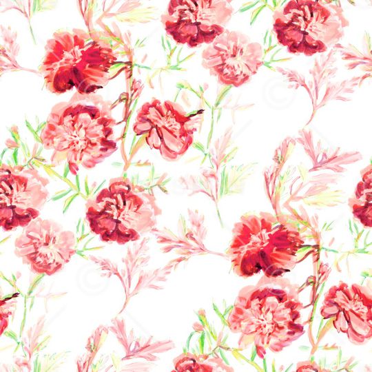 郁金香印花华亿平台图片