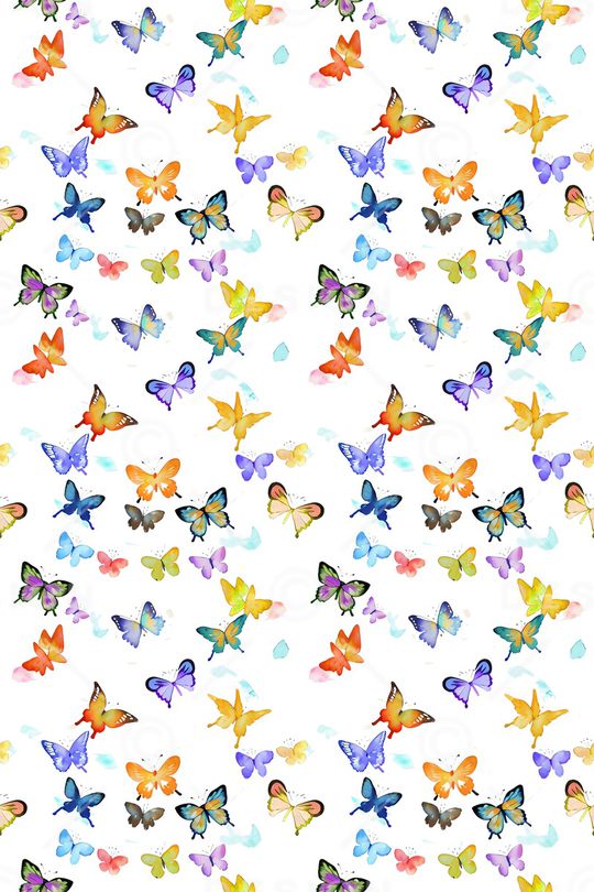 昆虫印花华亿平台图片