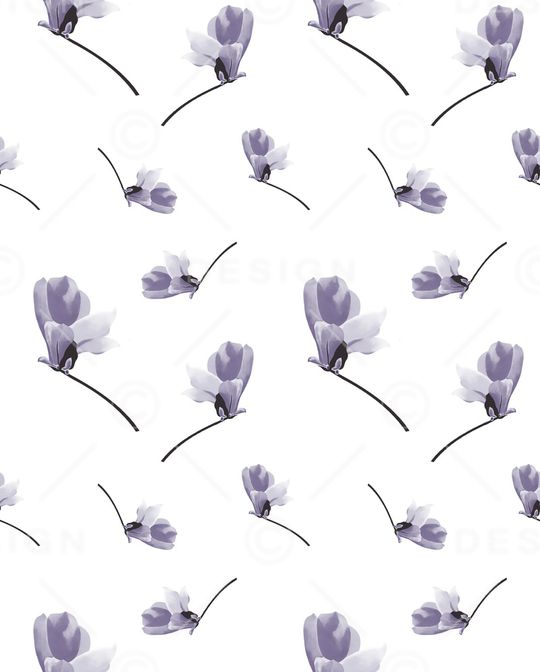 少女印花华亿平台图片