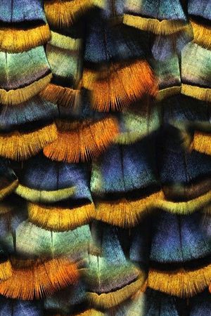 真丝印花华亿平台图片