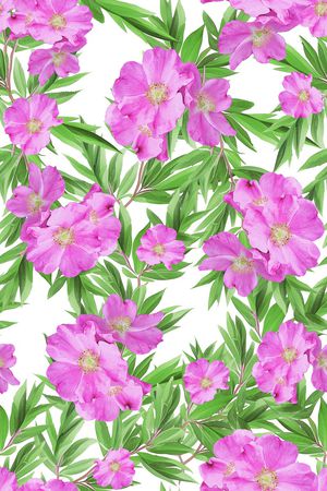 田园印花华亿平台图片