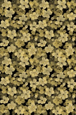 黑底花卉印花华亿平台图片