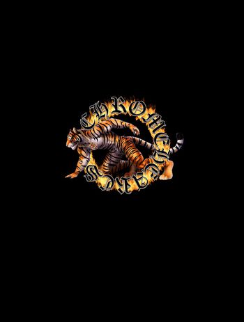 火印花华亿平台图片