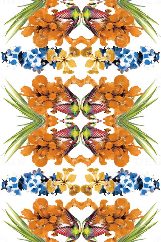 鸟印花华亿平台图片