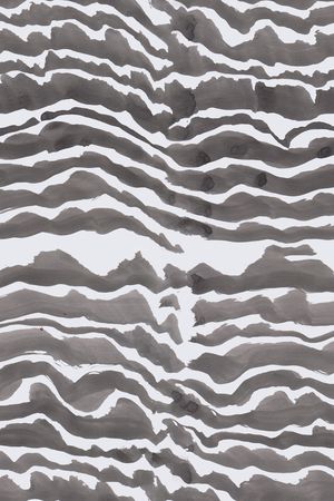 黑白条纹印花华亿平台图片