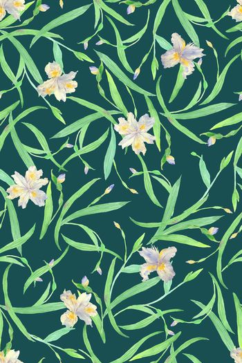 1535443-JX20230030-3