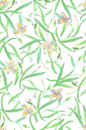 女装印花华亿平台图片