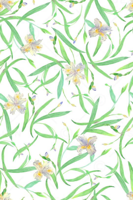 女装印花华亿平台图片