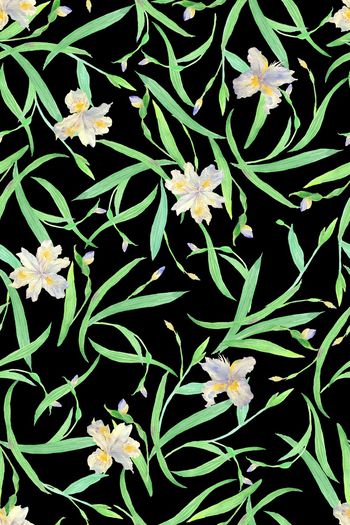 1535445-JX20230030-4