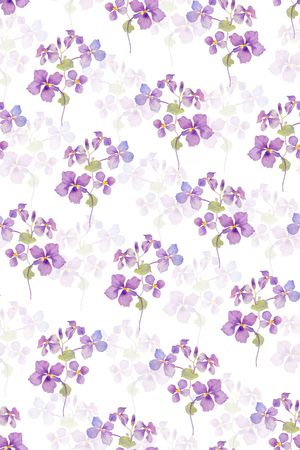 女装印花华亿平台图片