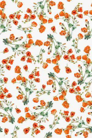 女装印花华亿平台图片