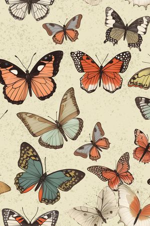 蝴蝶印花华亿平台图片