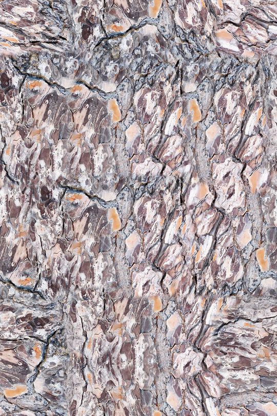 肌理印花华亿平台图片