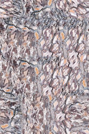 肌理印花华亿平台图片