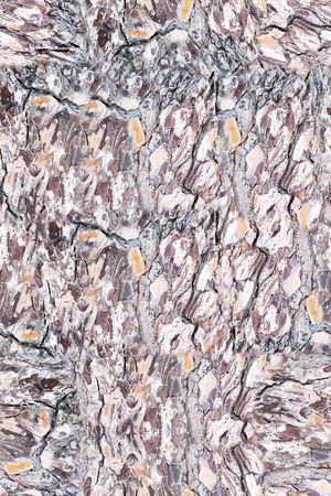 肌理印花华亿平台图片