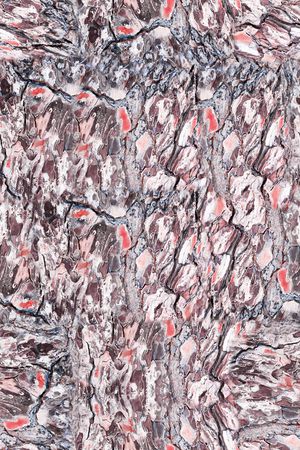 肌理印花华亿平台图片