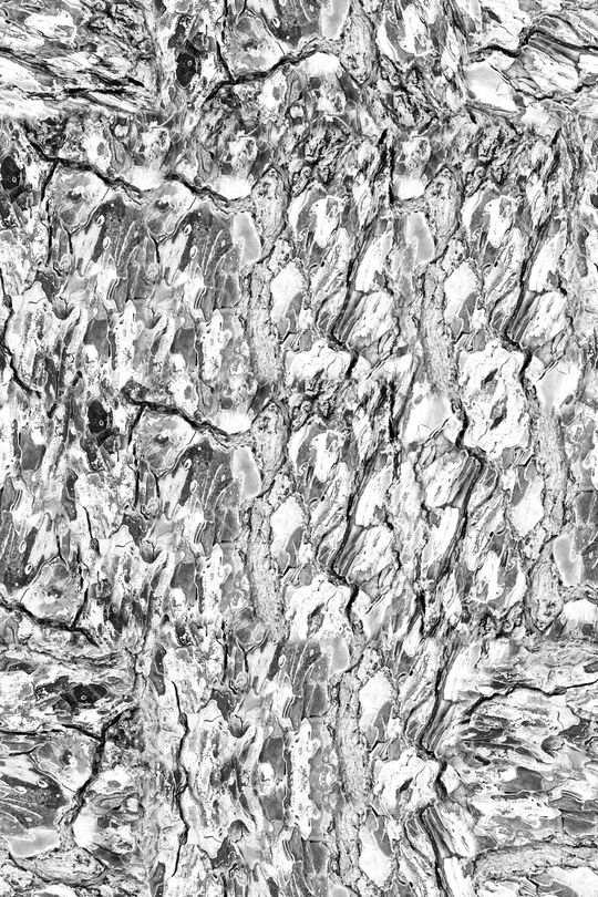 肌理印花华亿平台图片