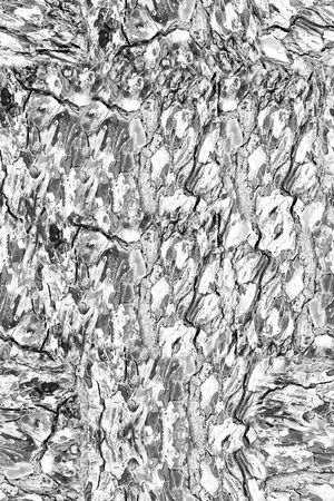 肌理印花华亿平台图片