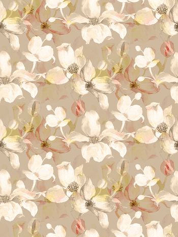 女装印花华亿平台图片