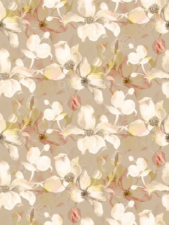 女装印花华亿平台图片