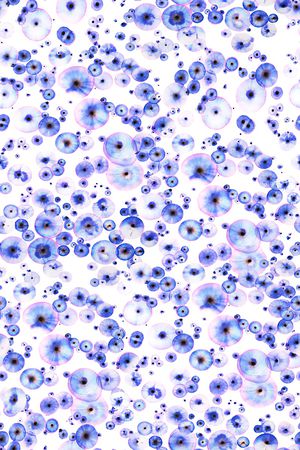 细胞印花华亿平台图片