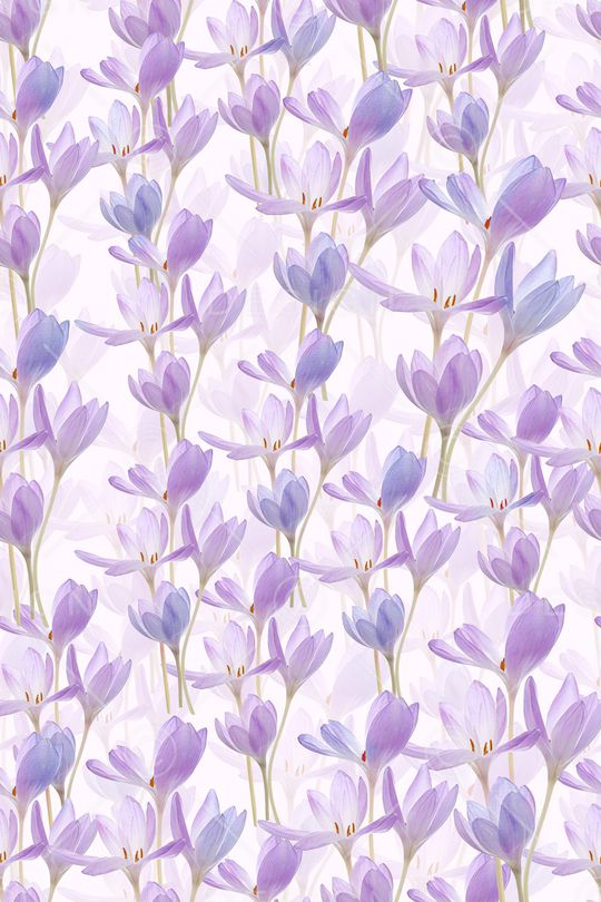 清爽印花华亿平台图片