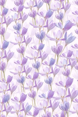 清爽印花华亿平台图片