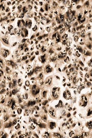 豹纹印花华亿平台图片